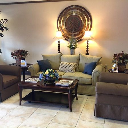 Memorial Inn And Suites Houston Dış mekan fotoğraf